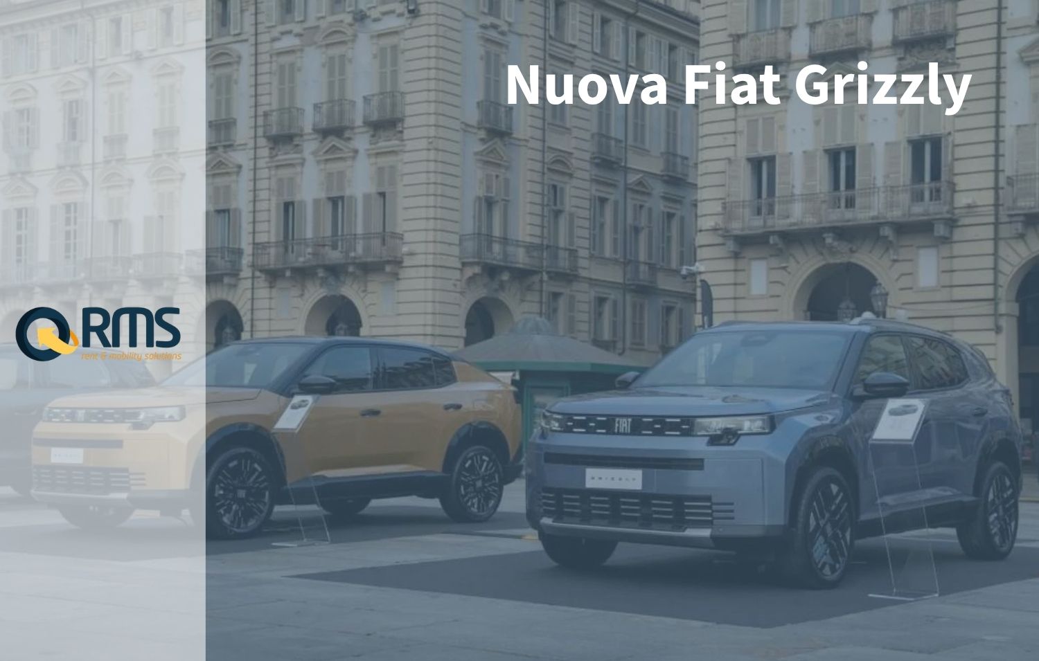 fiat grizzly